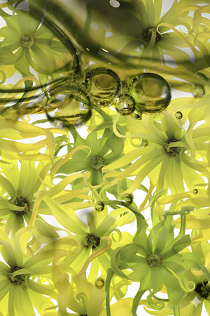 Ylang Ylang & Lavender Essential Oil